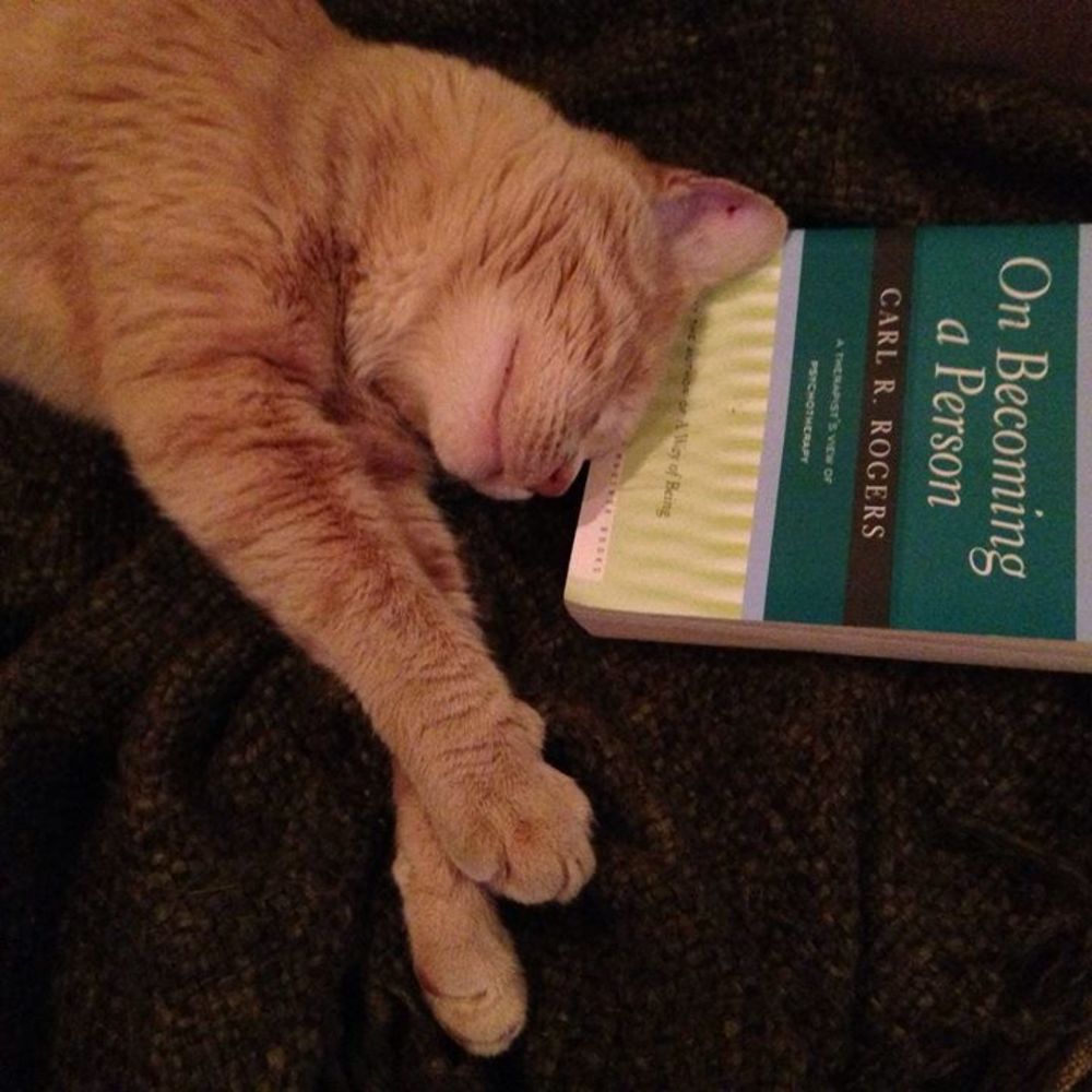 Meet your Posher, Lori